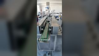 Syringe Packaging Machine 